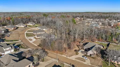 Dunleith Way, Clinton, MS 39056 photo 4