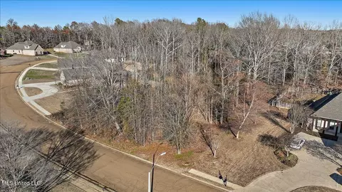 Dunleith Way, Clinton, MS 39056 photo 3