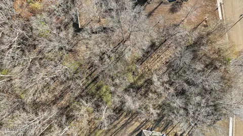 Dunleith Way, Clinton, MS 39056 photo 13