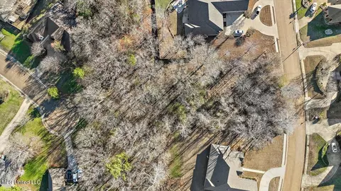 Dunleith Way, Clinton, MS 39056 photo 14