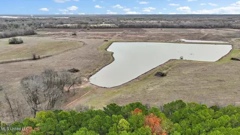 000 Stout Rd, Canton, MS 39046 photo 10