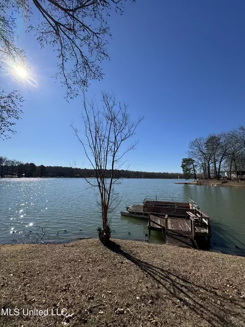 8631 Green Duck Dr, Hernando, MS 38632 photo 6