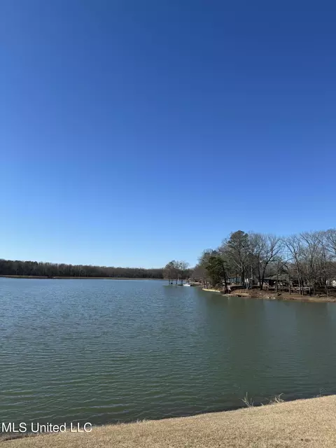 8631 Green Duck Dr, Hernando, MS 38632 photo 14