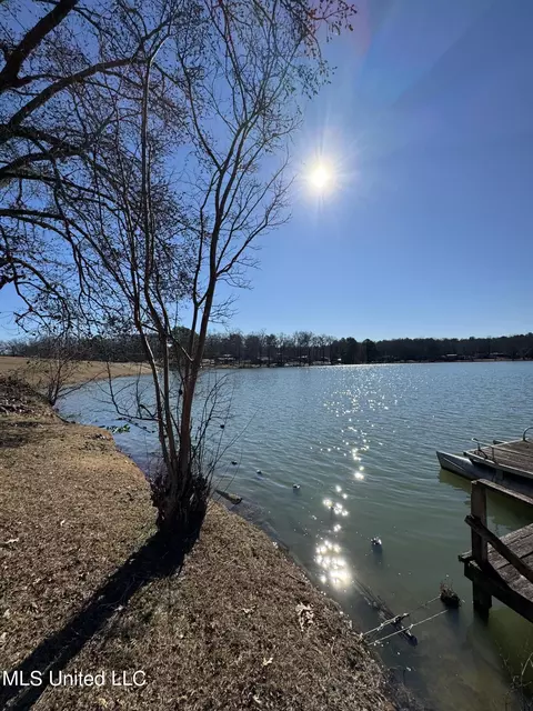 8631 Green Duck Dr, Hernando, MS 38632 photo 9