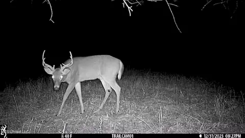 81 Turner Rd, Sarah, MS 38665 photo 6