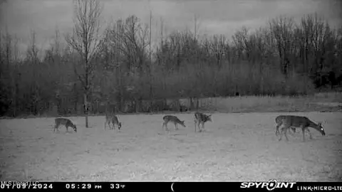 81 Turner Rd, Sarah, MS 38665 photo 7