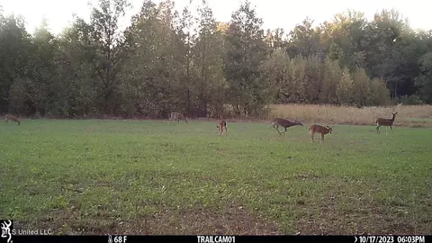 81 Turner Rd, Sarah, MS 38665 photo 2