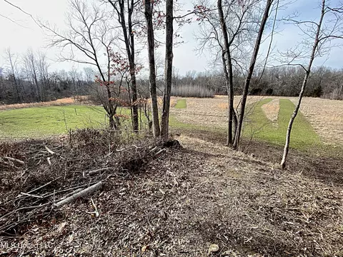 81 Turner Rd, Sarah, MS 38665 photo 12