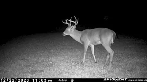 81 Turner Rd, Sarah, MS 38665 photo 8