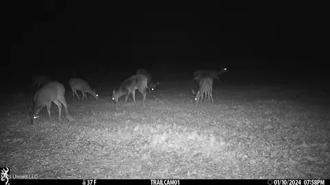 81 Turner Rd, Sarah, MS 38665 photo 9