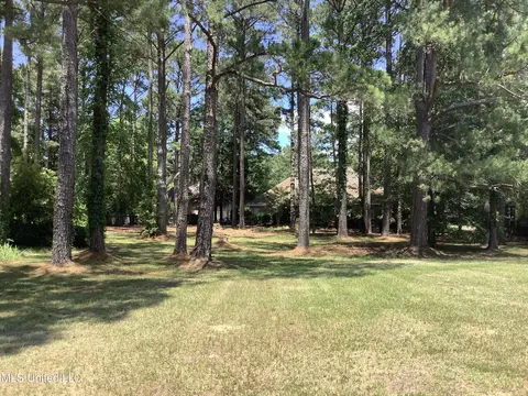 98 Palisades Blvd, Brandon, MS 39047