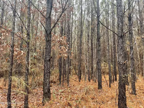 000 Little Rock County Line Road Rd, Union, MS 39365