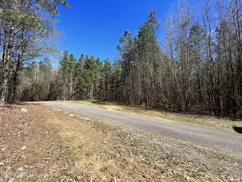 169 Henry Sample Rd, Lena, MS 39094 photo 9