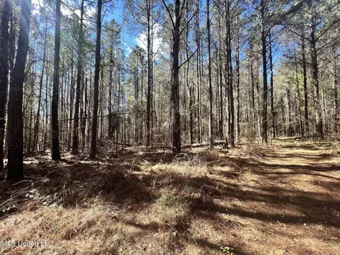 169 Henry Sample Rd, Lena, MS 39094 photo 2