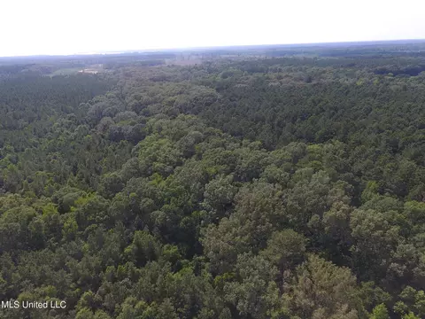 169 Henry Sample Rd, Lena, MS 39094 photo 6