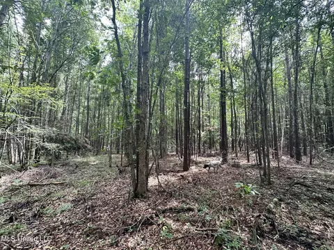 169 Henry Sample Rd, Lena, MS 39094 photo 5