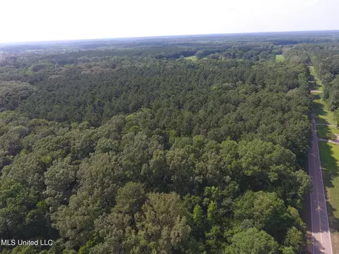 169 Henry Sample Rd, Lena, MS 39094 photo 3