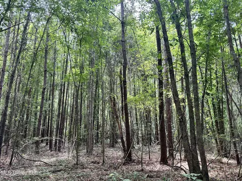 169 Henry Sample Rd, Lena, MS 39094 photo 7