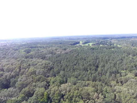 169 Henry Sample Rd, Lena, MS 39094 photo 8