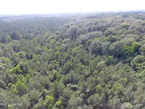 169 Henry Sample Rd, Lena, MS 39094