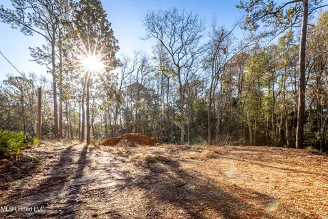 Persimmon Avenue, Ocean Springs, MS 39564