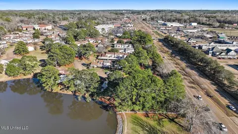 168 Lakebend Cir, Brandon, MS 39042 photo 50