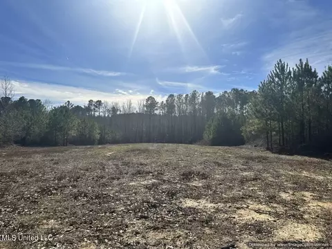 County Road 5041, Kosciusko, MS 39090 photo 17