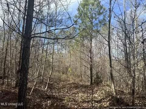County Road 5041, Kosciusko, MS 39090 photo 8