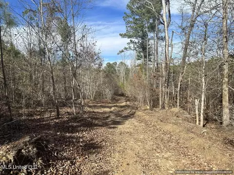 County Road 5041, Kosciusko, MS 39090 photo 16