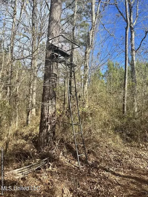 County Road 5041, Kosciusko, MS 39090 photo 31