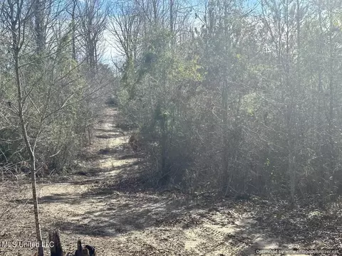 County Road 5041, Kosciusko, MS 39090 photo 32