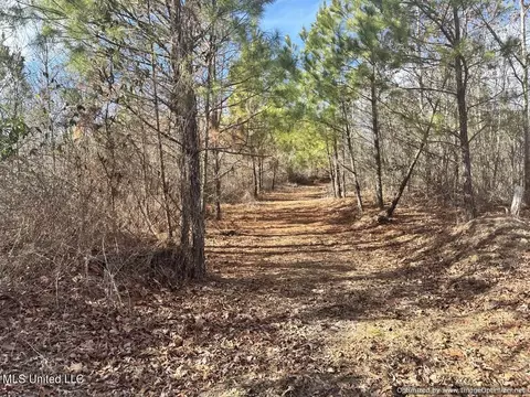 County Road 5041, Kosciusko, MS 39090 photo 15