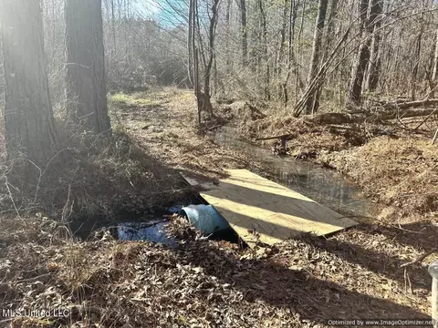 County Road 5041, Kosciusko, MS 39090 photo 28