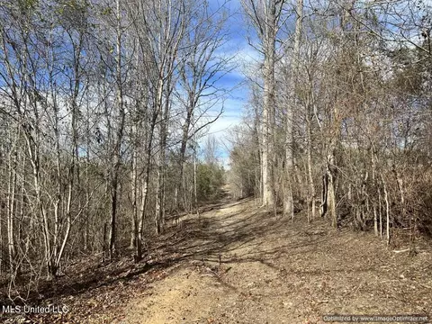 County Road 5041, Kosciusko, MS 39090 photo 12