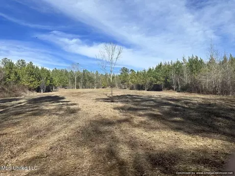 County Road 5041, Kosciusko, MS 39090 photo 24