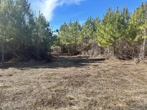County Road 5041, Kosciusko, MS 39090 photo 25