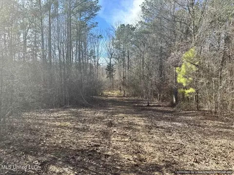 County Road 5041, Kosciusko, MS 39090 photo 26