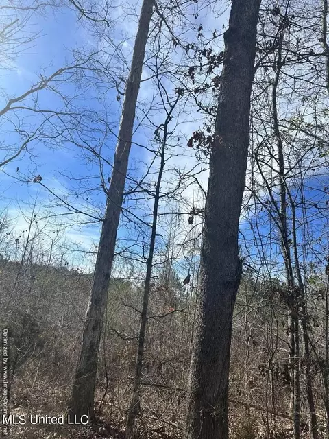County Road 5041, Kosciusko, MS 39090 photo 14