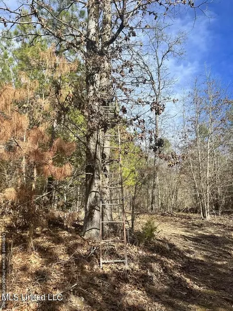 County Road 5041, Kosciusko, MS 39090 photo 30