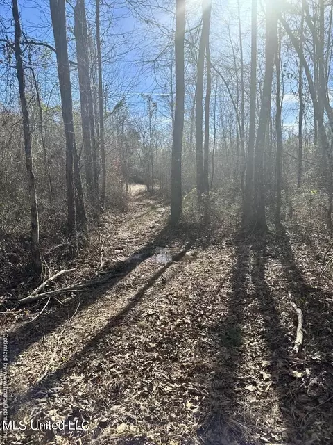 County Road 5041, Kosciusko, MS 39090 photo 21