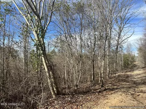 County Road 5041, Kosciusko, MS 39090 photo 13