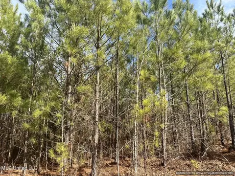 County Road 5041, Kosciusko, MS 39090 photo 6