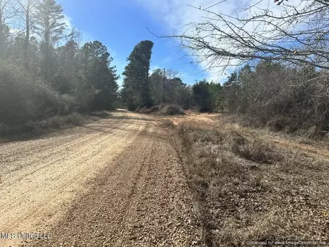 County Road 5041, Kosciusko, MS 39090 photo 3
