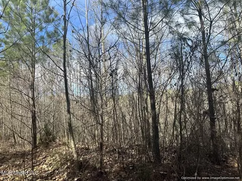 County Road 5041, Kosciusko, MS 39090 photo 7