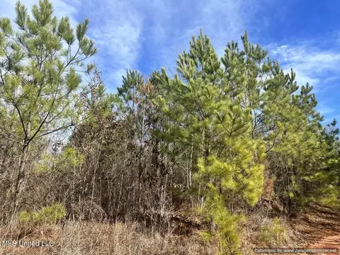 County Road 5041, Kosciusko, MS 39090 photo 10