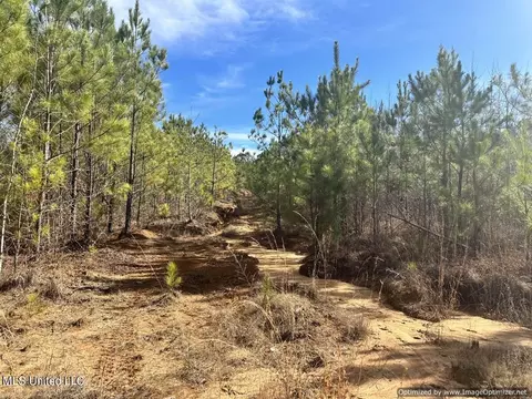 County Road 5041, Kosciusko, MS 39090 photo 5