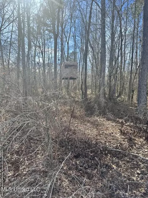 County Road 5041, Kosciusko, MS 39090 photo 18