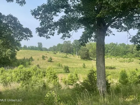 9 Ms Hwy 4 E, Holly Springs, MS 38635