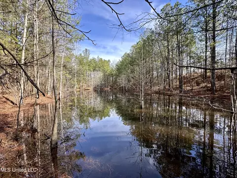 Bates Road Road, Louisville, MS 39339