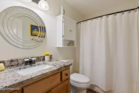 Bath - 1371 Broady Rd, Nesbit, MS 38651 photo 5 of 6